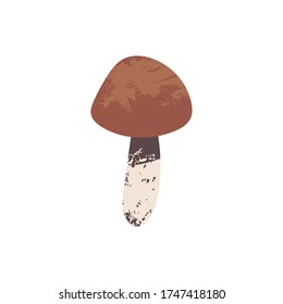 Autumn hand drawn vector mushroom art work. Colored trendy edible forest food illustration with texture. Perfect for recipe, menu, label, packaging, poster, wrapping paper