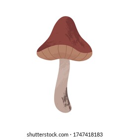 Autumn hand drawn vector mushroom art work. Colored trendy edible forest food illustration with texture. Perfect for recipe, menu, label, packaging, poster, wrapping paper