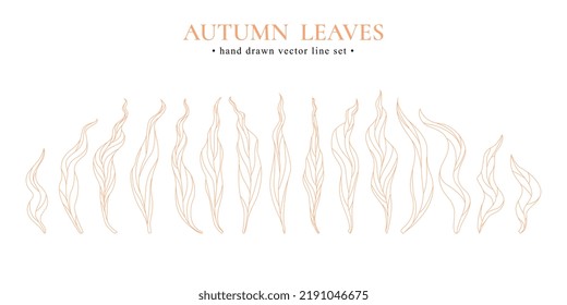 Autumn hand drawn vector set of line orange leaves isolated on white background.