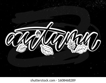 Autumn hand written text. Design print for icon, logo, badge, cards, poster, banner, tag. Vector illustration on chalk background
