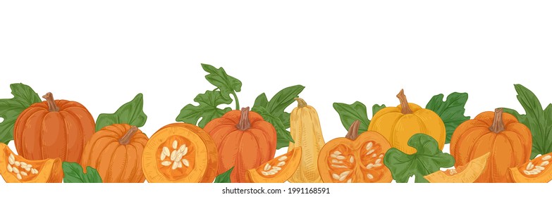 Autumn hand-drawn border with pumpkins, gourds and leaves. Fall orange vegetables. Banner with fresh ripe squashes in vintage style. Realistic colored vector illustration isolated on white background