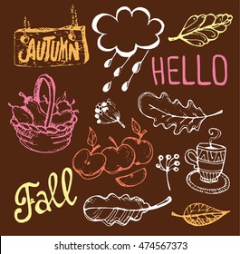 Autumn Hand-drawn doodle set. Vector set of different hand drawn autumn elements. Vector illustration.