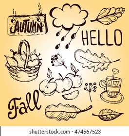 Autumn Hand-drawn doodle set. Vector set of different hand drawn autumn elements. Vector illustration.