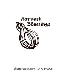 Autumn handdrawn pumpkin with lettering isolated on white background. Text: Harvest Blessings
