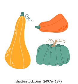 Conjunto de calabaza dibujado a mano de otoño para Acción de Gracias y Halloween. Calabazas, calabazas y hojas de la cosecha de otoño. Verduras de naranja de otoño. Ilustración vectorial plana dibujada a mano aislada sobre fondo blanco. 