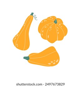 Conjunto de calabaza dibujado a mano de otoño para Acción de Gracias y Halloween. Calabazas, calabazas y hojas de la cosecha de otoño. Verduras de naranja de otoño. Ilustración vectorial plana dibujada a mano aislada sobre fondo blanco. 