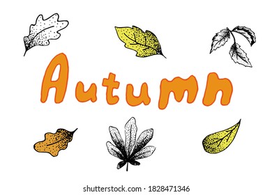 Autumn hand-drawn set of vector inscriptions with leaves. Autumn decor.