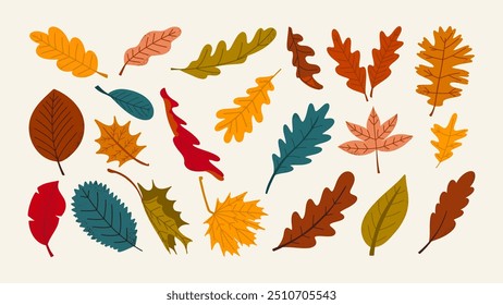 Autumn hand-drawn various colorful leaves set. Fall decorative design vector elements. Trendy seasonal illustration. 