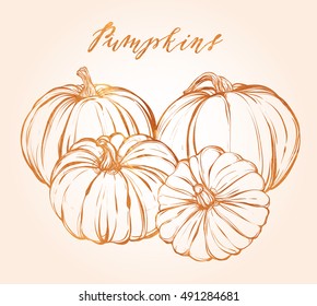 Autumn,  handmade, vector,pumpkins, card for you