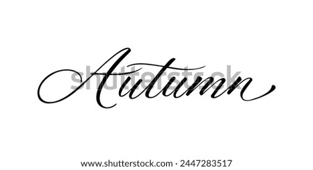 Autumn - Handwritten text in calligraphic style on a white background. Vector illustration.