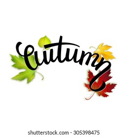 Autumn handwritten text, colorful leaves and lettering, vector illustration