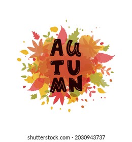 Autumn handwritten text on autumnal leaves background for card, poster, emblem. Seasonal greetings. Autumn mood. Vector colorful illustration, hand lettering typography, watercolor background