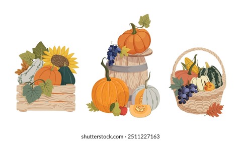 Autumn harvest arrangements with pumpkins, vegetables, fruits, leaves, wooden crate, basket, barrel. Fall vector elements for postcard, banner, poster, Thanksgiving sticker, festival illustrations.