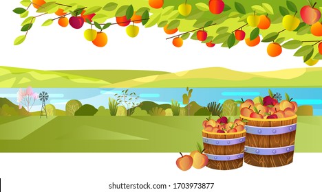 Autumn harvest background with apple tree, branches, leaves, casks, and fruit. Horizontal rural landscape in flat style with hills,river, field. Illustration for organic local production advertisement