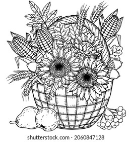 Autumn harvest in a basket for thanksgiving day. Vector coloring page for adult. Black and white basket with leaves, sunflower, corn, apple, pear, acorn and pumpkin