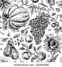 Autumn harvest. Black pumpkin, sunflower, nuts and fruit on a white background. Vector seamless vintage pattern. Monochrome.