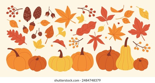 Colección de la cosecha de otoño: Hojas coloridas, bellotas y calabazas Conjunto de Vector