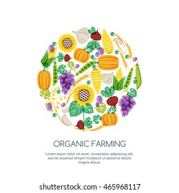 Autumn harvest color illustration. Vector hand drawn vegetables and cereal grains icons set. Design elements for agriculture, harvesting, gardens, farm and farming organic products.