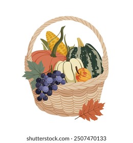 Autumn harvest with colorful pumpkins, grapes, and leaves in wicker farm basket arrangement for postcard, banner, poster, sticker, festival. Fall pumpkin composition design. Vector illustration.