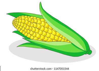 autumn harvest of corn cob,  vector set  isolated elements