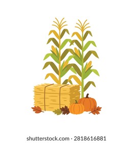 Autumn harvest corn and hay bale illustration. Fall season pumpkins with dry leaves decor.