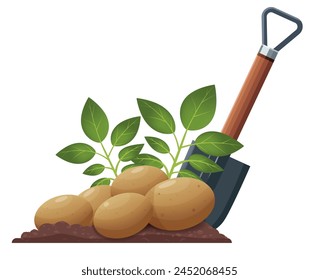 Cosecha de otoño, excavando patatas del suelo. Dibujo gráfico de tierra arenosa, tierra negra, una pala y un arbusto que sobresale del suelo, papas jóvenes. Primer plano. Vector. Primavera-otoño. 