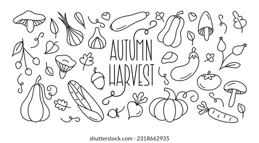 Recogida de Doodle de Cosecha de Otoño. Caricatura a mano y verduras y champiñones dibujados con letras. Elementos de diseño de cosecha y caída de trazos editables.