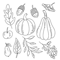 Autumn Harvest Doodle Set. Fall Symbols: Fallen Leaves, Pumpkin, Apple, Pear, Acorn, Berries. Vector Drawing Isolated On White Background.