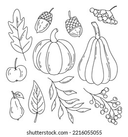 Herbsterntempfänger. Herbstsymbole: gefallene Blätter, Kürbis, Apfel, Birne, Korn, Beeren. Vektorgrafik einzeln auf weißem Hintergrund.