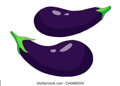 autumn harvest of  eggplant, aubergine,  vector set  isolated elements