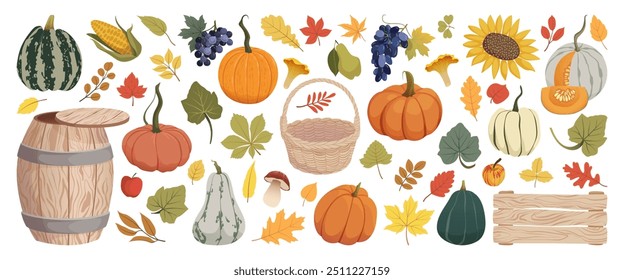 Herbsternte und Herbstelemente eingestellt. Kürbisse, Blätter, Gemüse, Trauben, Früchte, Pilze, Holzfass, Schachtel, Korb. Farm und Garten Herbst Saison Sammlung. Thanksgiving Day, Vektorgrafik.