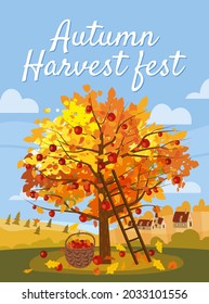 Autumn Harvest Fest. Apple tree with basket of apples, ladder, rural landscape. Fall, harvest, ripe fruits on tree, countriyside fall. Vector illustration cartoon style poster