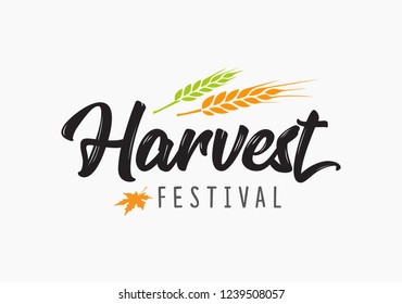 Autumn Harvest Festival. Hand sketched autumn lettering Harvest Festival with wheat and leaf. Modern calligraphy. Handwritten vector illustration on white background for cards, posters, banner