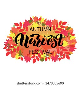 Autumn Harvest Festival handwritten phrase. Modern brush calligraphy. Hand lettering, vector illustration isolated on white background for cards, posters, emblems, stickers,banners, logo, tags. EPS10
