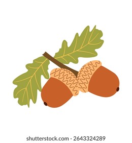 Vetor plano de colheita de outono: bolotas clássicas em um ramo. Ilustração desenhada à mão para banners, cartões, mídias sociais