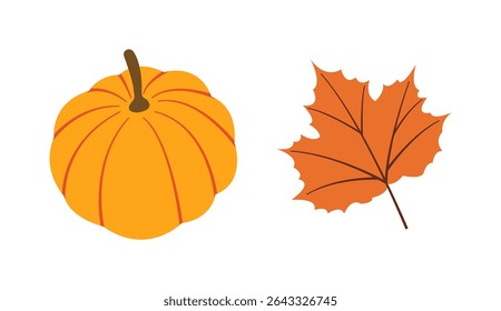 Autumn harvest flat vector elements: pumpkins, leaf for fall designs. Hand drawn set for banners, cards, social media