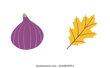 Autumn harvest flat vector elements: fig, yellow leaf for fall designs. Hand drawn set for banners, cards, social media