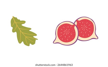 Autumn harvest flat vector elements: sliced fig, green leaf for fall designs. Hand drawn set for banners, cards, social media