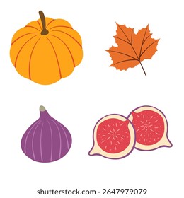 Autumn harvest flat vector elements: pumpkins, figs, orange leaf for fall designs. Vector illustration for banners, social media, cards