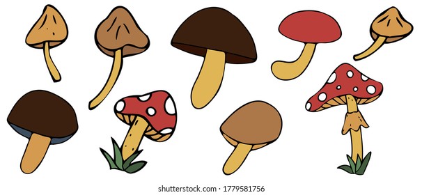 autumn harvest from the forest - edible and poisonous mushrooms, freehand drawing, vector set of elements in doodle style, black outline