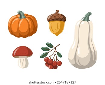Colheita de outono elementos florestais conjunto com abóboras, bagas, bolota e cogumelo. Ilustração isolada de vetor de desenhos animados