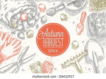 Autumn Harvest Frame