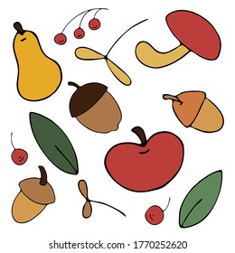 autumn harvest from the garden and from the forest - apples, pears, acorns, mountain ash, freehand drawing, vector set of elements in doodle style, black outline