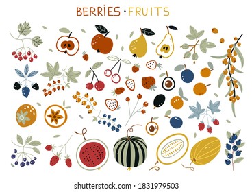 Autumn harvest with garden fruits and berries. Forest berry. Sweet fruit. Flat style, vector illustration. Doodle fruits. Vegan kitchen apple hand drawn, organic fruits or vegetarian food.