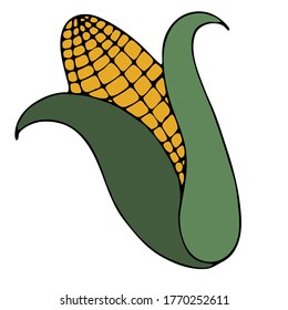 autumn harvest from the garden from the garden - ripe corn, vector doodle style element, black outline