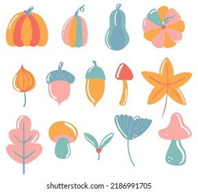 Conjunto de elementos vectoriales de la cosecha de otoño. Calabaza, hojas y hongos