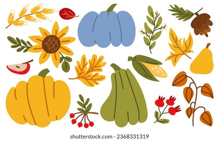 The autumn harvest has begun. Vector collection of vegetables, fruits and berries of the farm with pumpkins, sunflowers, apples, corn, pears, physalis, cranberries. Funny autumn illustration