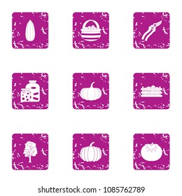 Autumn harvest icons set. Grunge set of 9 autumn harvest vector icons for web isolated on white background