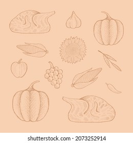 Autumn harvest illustration. Set of hand drawn style, pumpkin, turkey, garlic, corn, apple, grape and spicy.