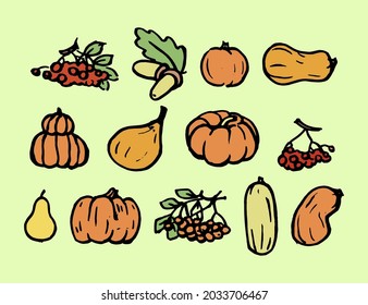 Autumn harvest. A large collection of pumpkins, zucchini, berries, fruits, vegetables are drawn by hand. Colored vector illustration.